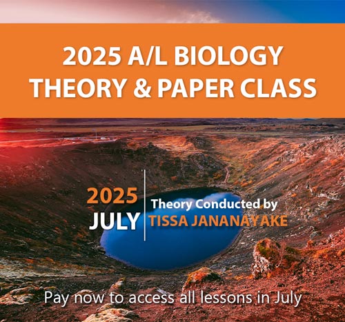 4300