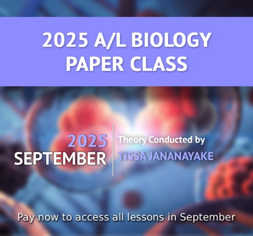 2000