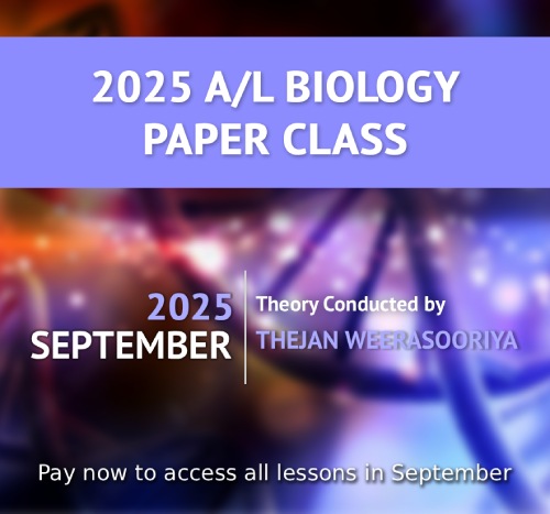 2000