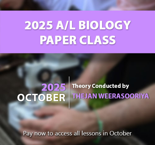 2000