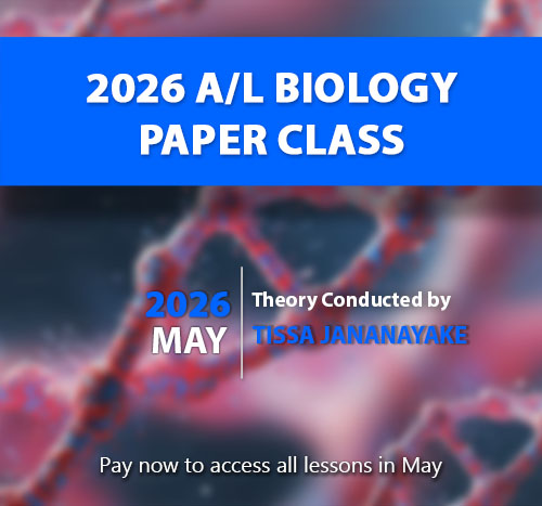 2000