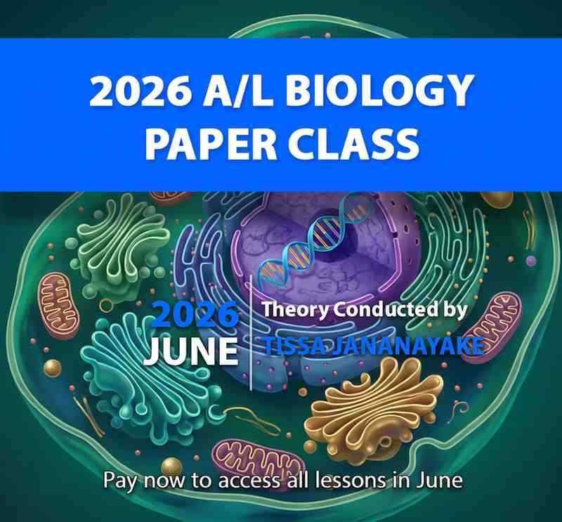 2000