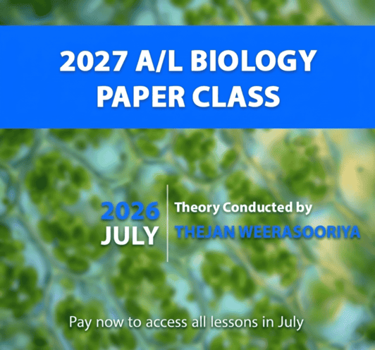 2000